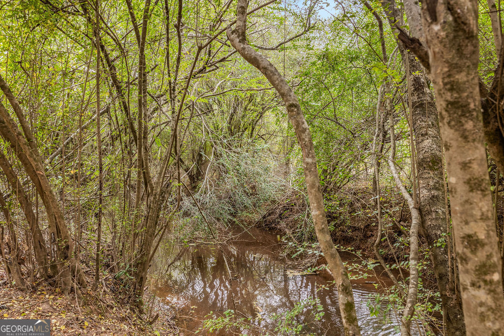 1820 Salem Road LaGrange, GA 30241 - Photo 46 of 65