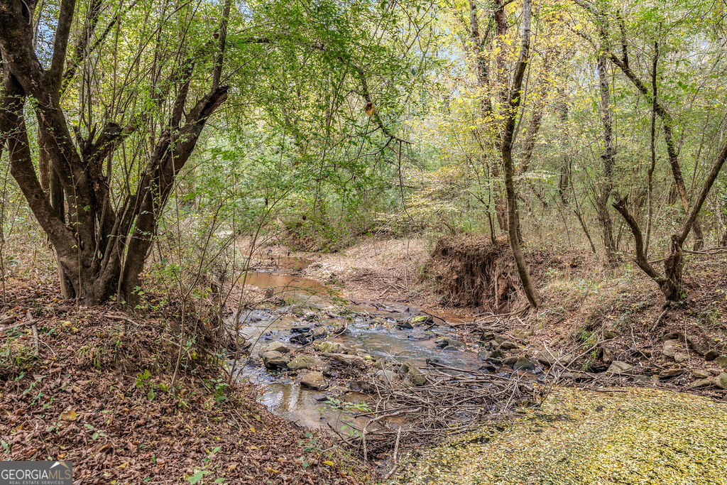 1820 Salem Road LaGrange, GA 30241 - Photo 48 of 65