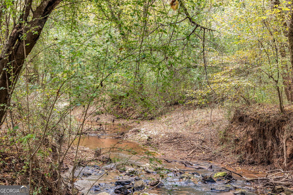 1820 Salem Road LaGrange, GA 30241 - Photo 49 of 65