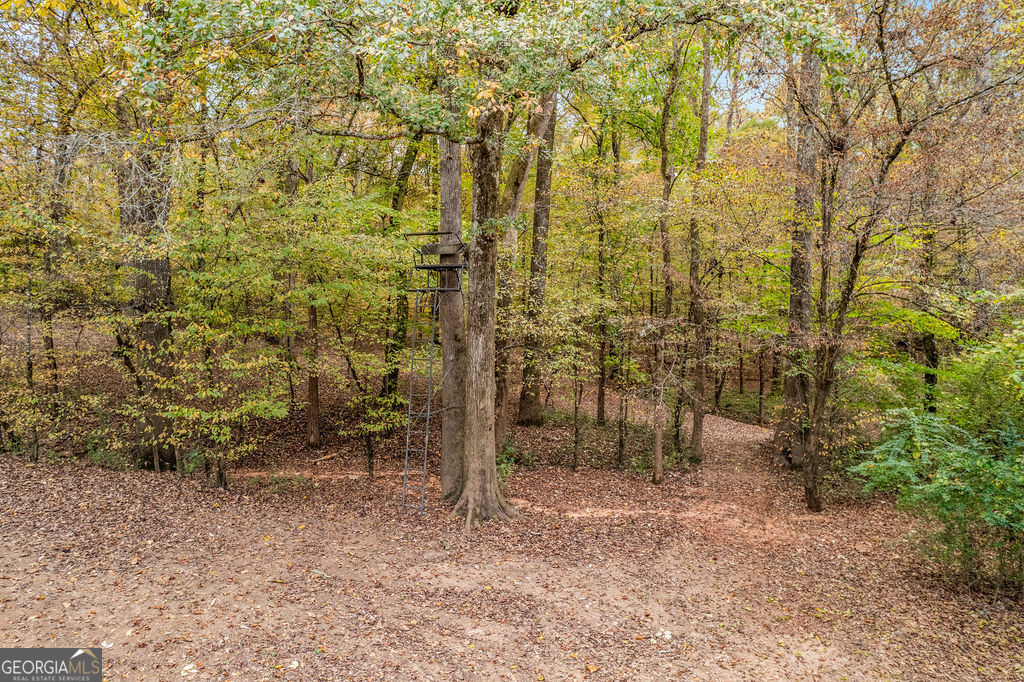 1820 Salem Road LaGrange, GA 30241 - Photo 63 of 65