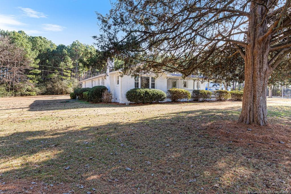 447 T T Johnson Road Carthage, NC 28327 - Photo 8 of 49 a view of road with large trees