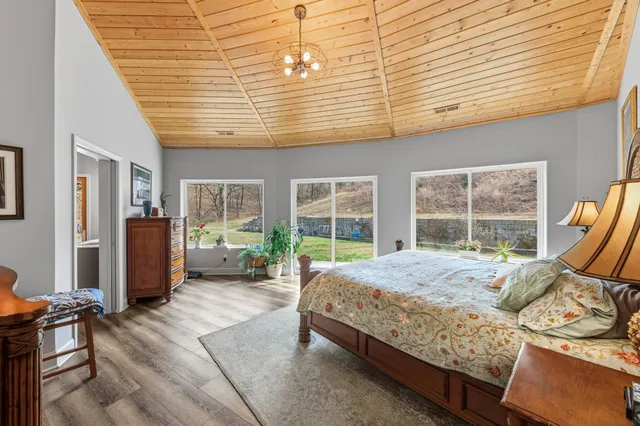 a view of backyard with trees