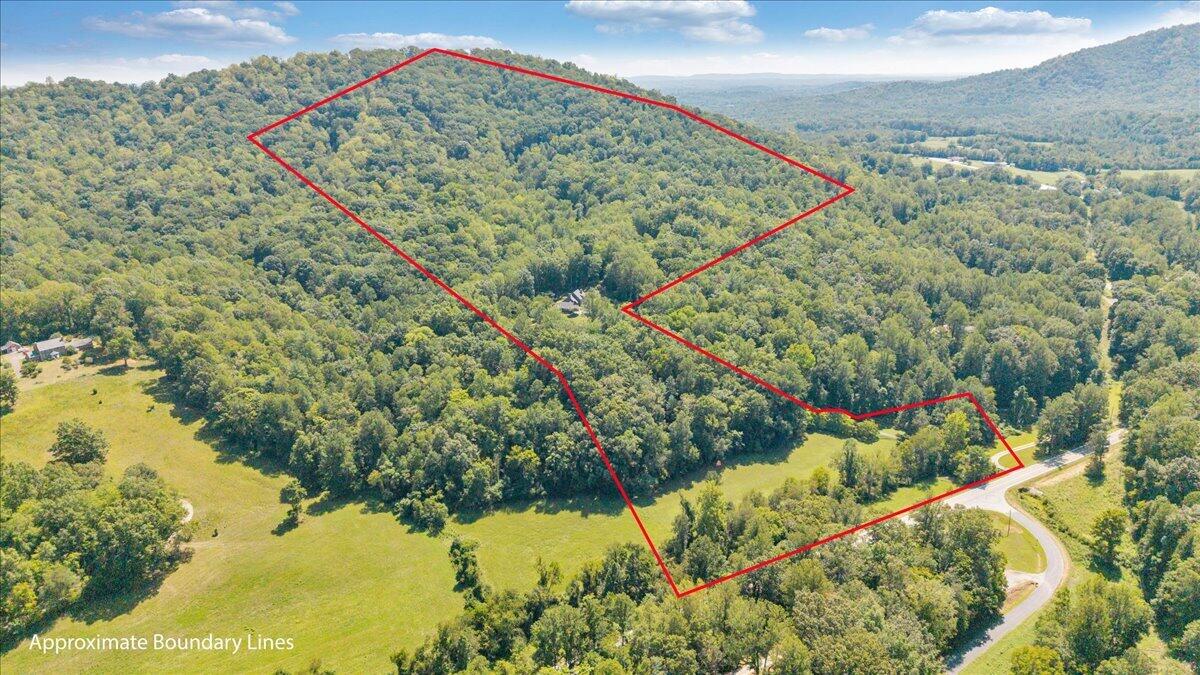 181 Mobley Mountain Road Amherst, VA 24521 - Photo 95 of 101 109-DJI_20260828132220_0013_D