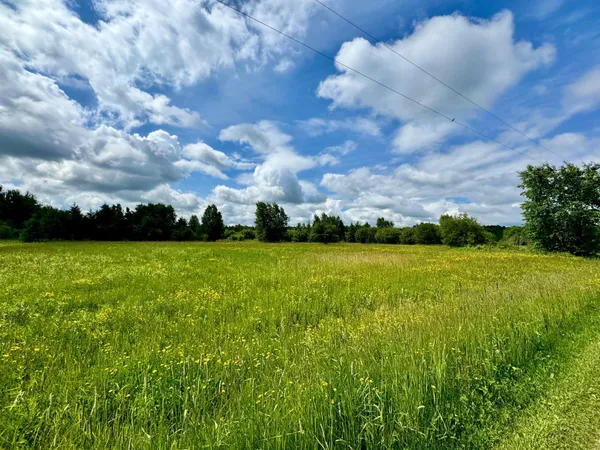 $33,500 | Tbd 580th Avenue, Warroad, MN 56763