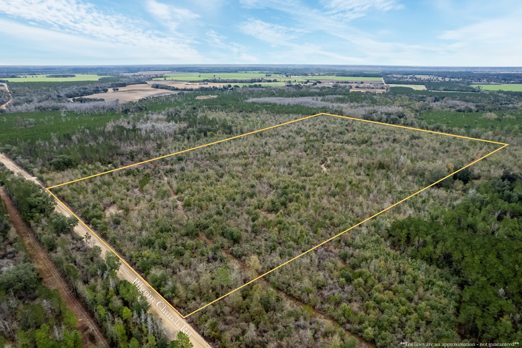 2 Pilgram Ch Road Gordon, AL 36343 - Photo 2 of 17