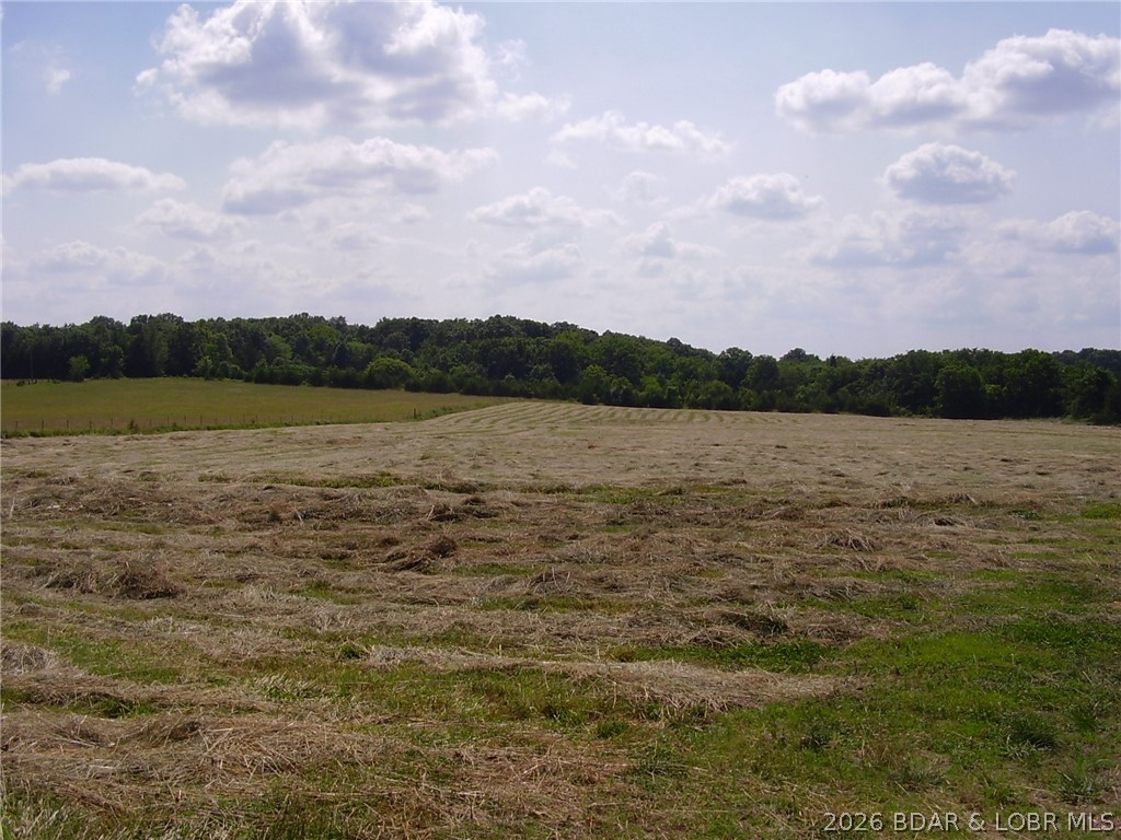 3521 South 240th Road Louisburg, MO 65685 - Photo 44 of 48