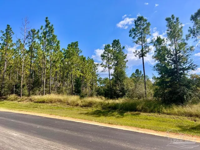 $165,000 | Lot 30 Morgans Branch, Molino, FL 32577
