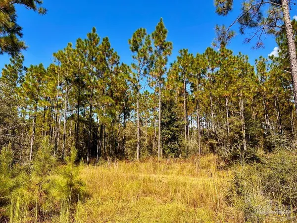 $165,000 | Lot 30 Morgans Branch, Molino, FL 32577