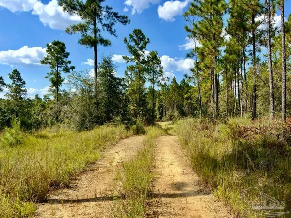 $165,000 | Lot 30 Morgans Branch, Molino, FL 32577