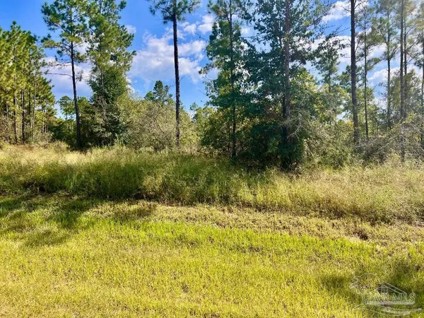 $165,000 | Lot 30 Morgans Branch, Molino, FL 32577