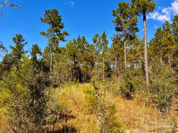 $165,000 | Lot 30 Morgans Branch, Molino, FL 32577