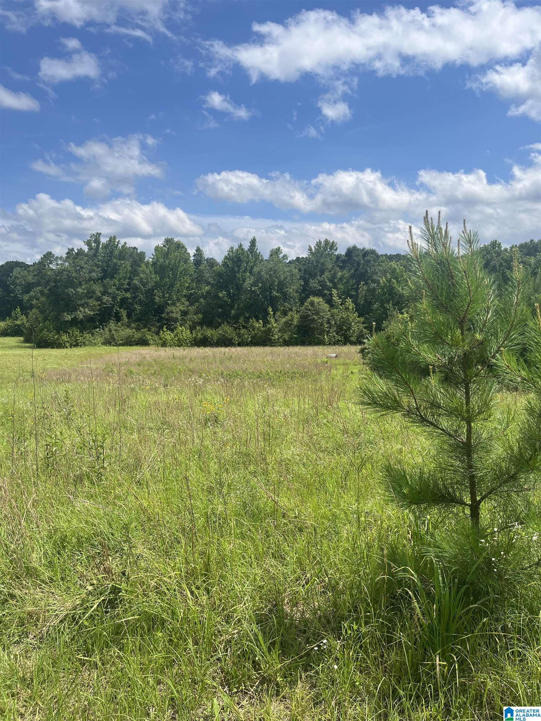 7000 Grey Hill Road West Blocton, AL 35184 - Photo 49 of 50