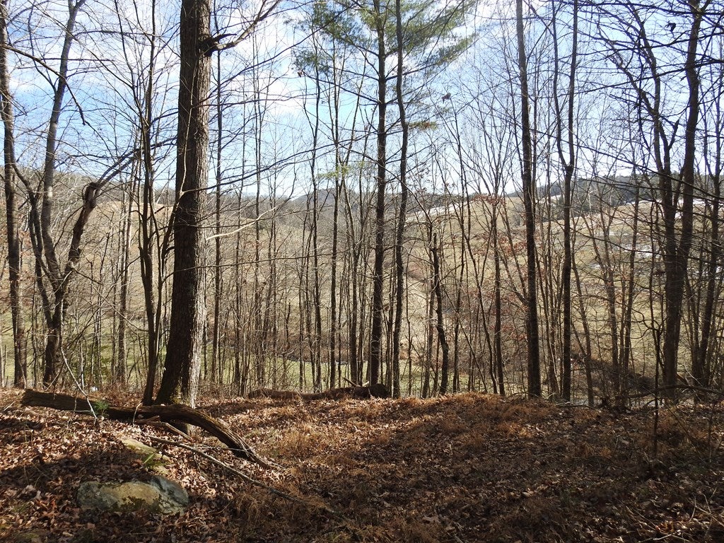 1472 Soapstone Road Galax, VA 24333 - Photo 27 of 36 Gallery Image 27