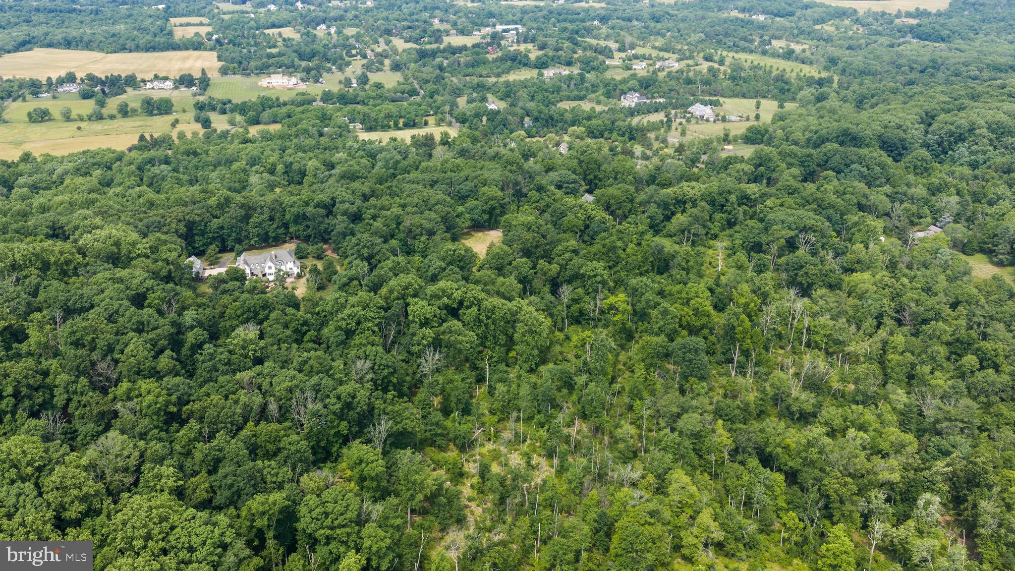 1 Warner Road New Hope, PA 18938 - Photo 11 of 13 a view of a forest with a houses