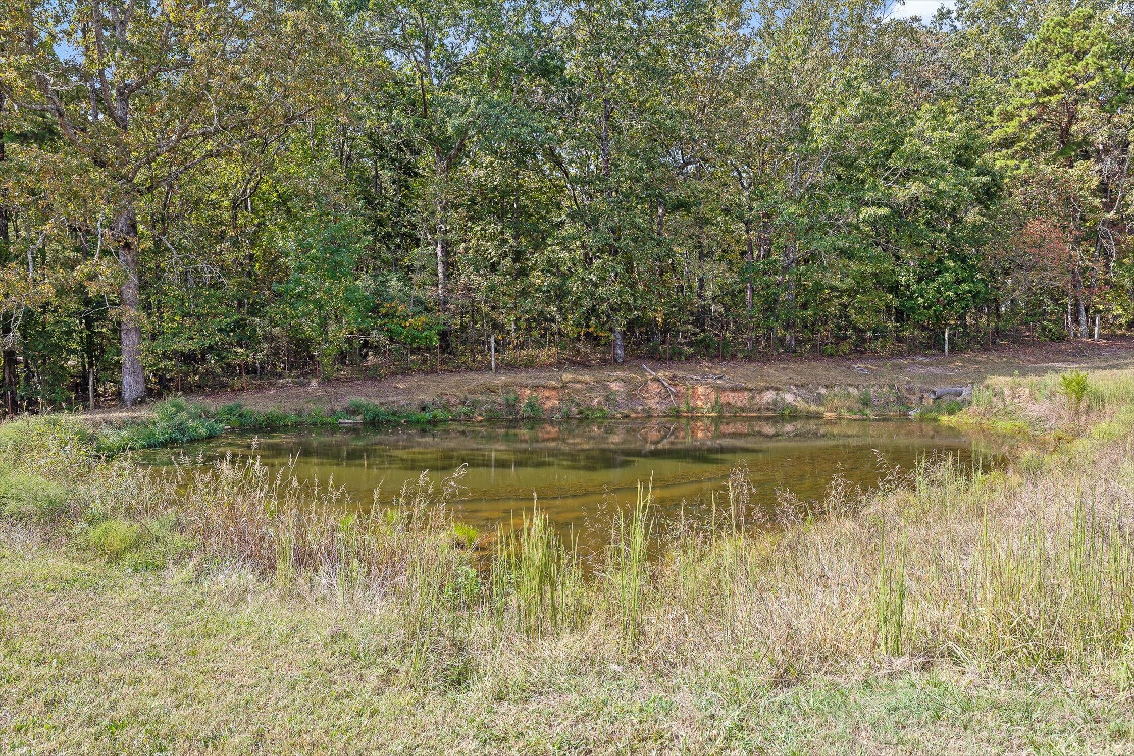9405 Highway 58 Harrison, TN 37341 - Photo 71 of 76 Pond