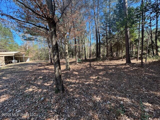 7089 Brown Road Smithdale, MS 39664 - Photo 5 of 41 IMG_3359