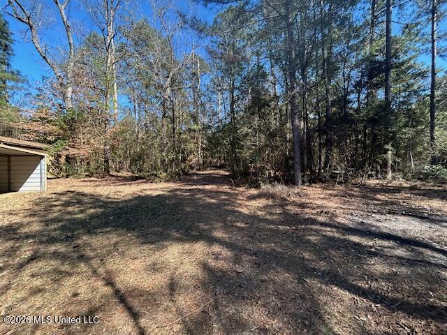 7089 Brown Road Smithdale, MS 39664 - Photo 10 of 41 IMG_3364