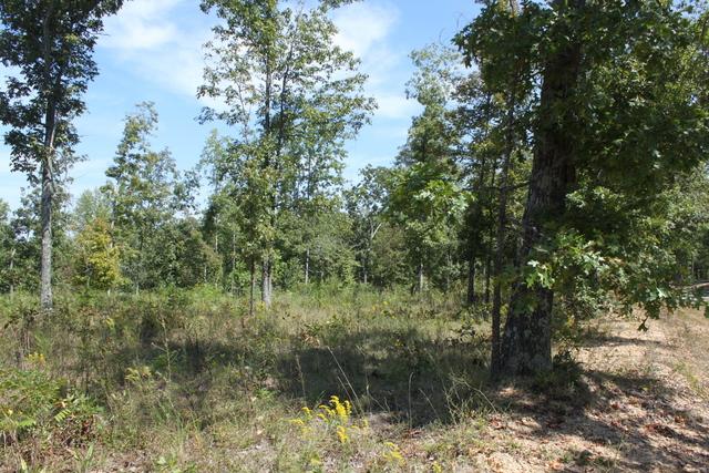 0 Ridge Top Road Hampshire, TN 38462 - Photo 7 of 7 Gallery Image 7