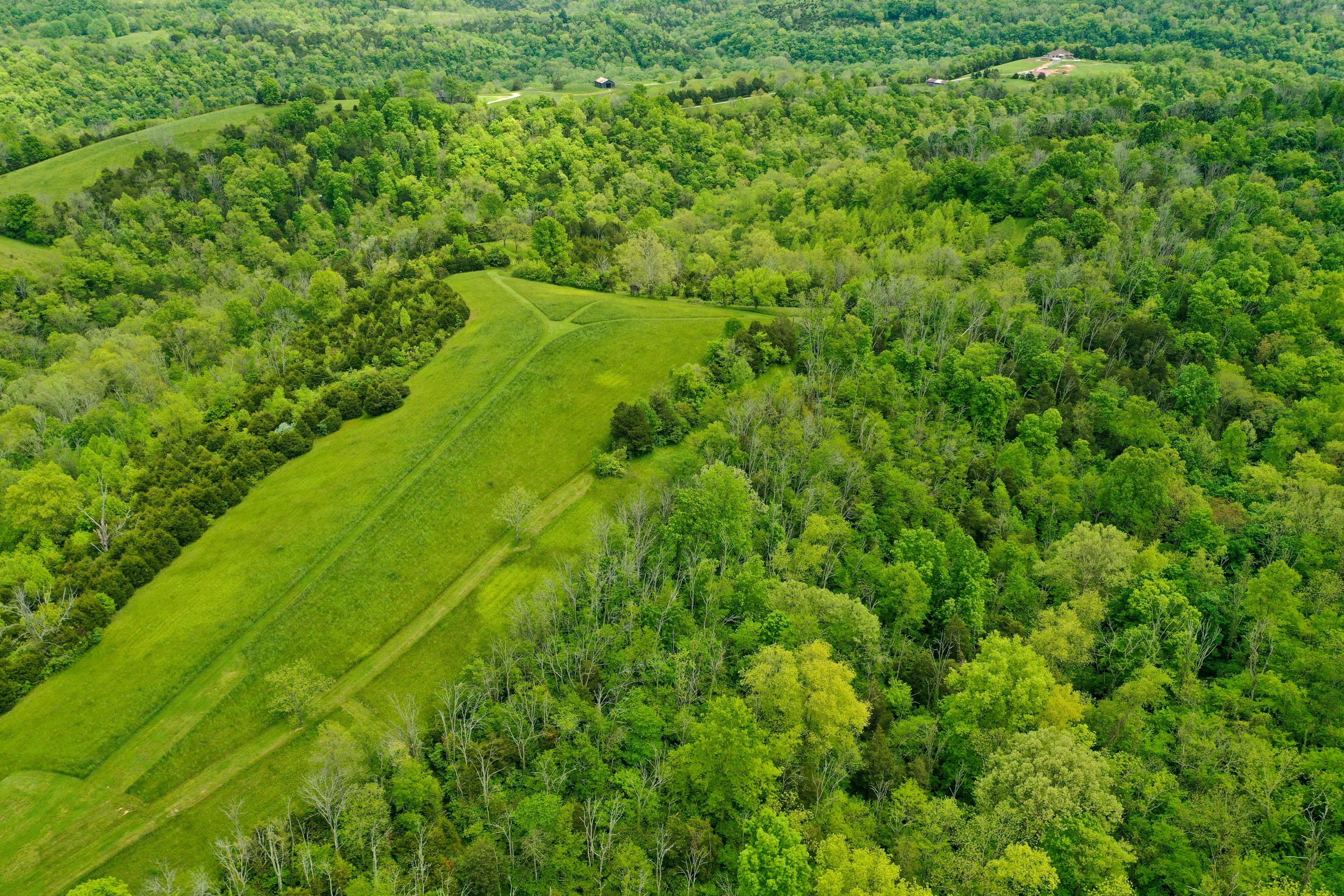 1700 Knobby Ridge Way Nicholasville, KY 40356 - Photo 32 of 49 DJI_0567-min