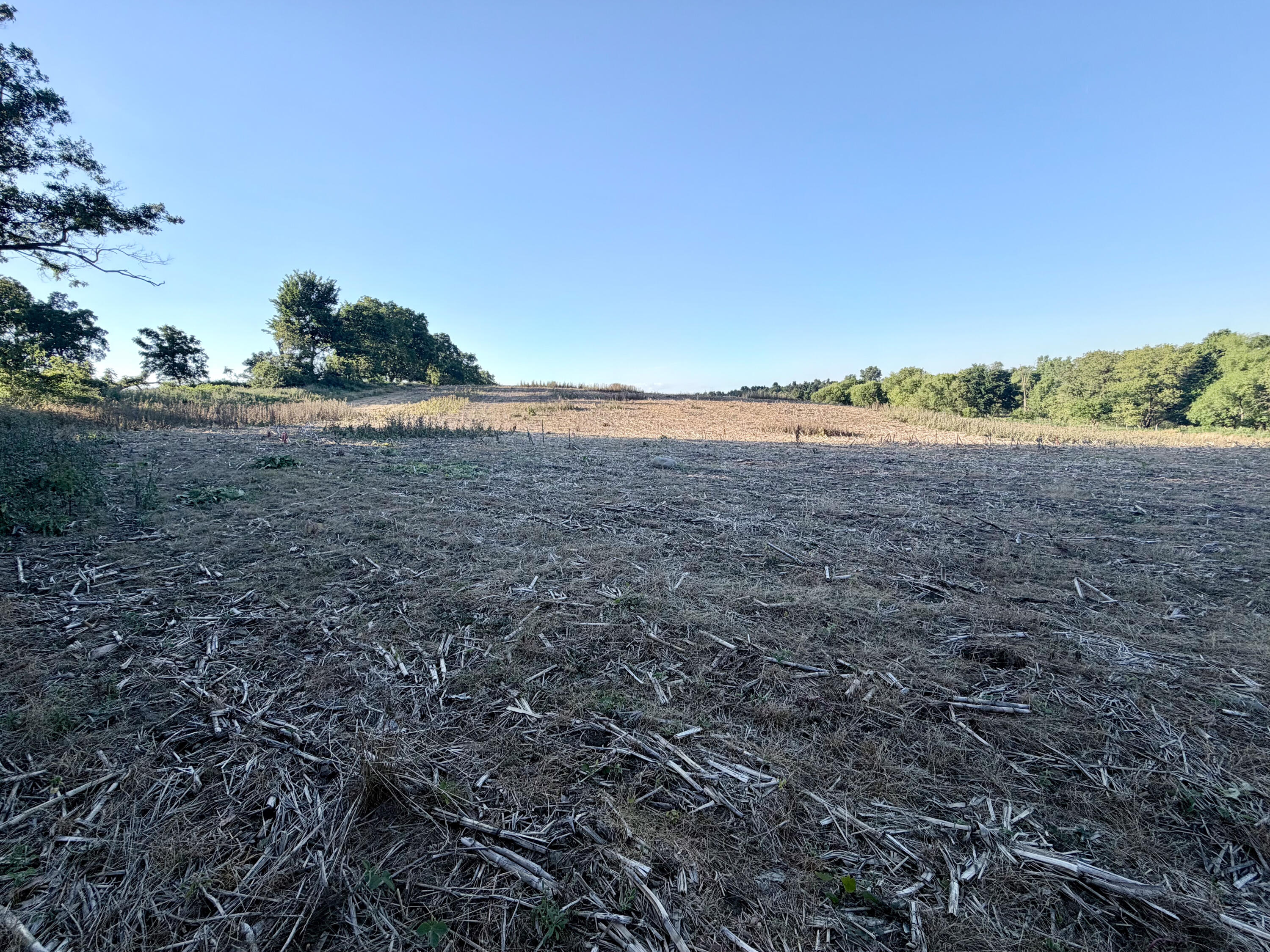 8375 South Stoney Lake Road Jackson, MI 49201 - Photo 68 of 101 Jackson 111.84-069