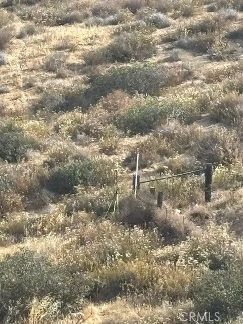 17 Ginter Hemet, CA 92544 - Photo 5 of 16