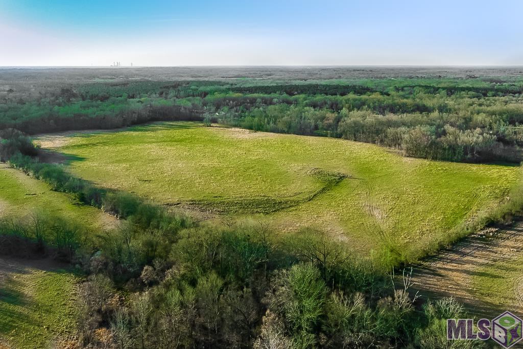 Tbd Barnett Road Zachary, LA 70791 - Photo 9 of 10