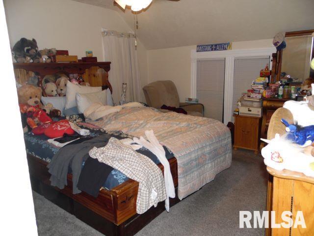 355 West Walnut Street Canton, IL 61520 - Photo 8 of 14