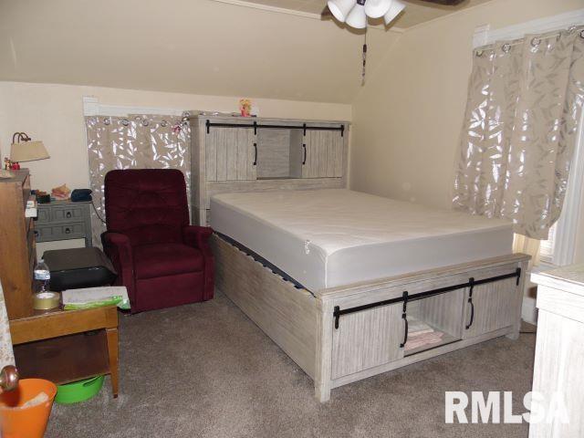 355 West Walnut Street Canton, IL 61520 - Photo 9 of 14