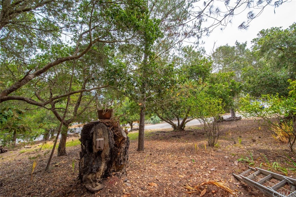 2755 Taft Place Cambria, CA 93428 - Photo 26 of 32