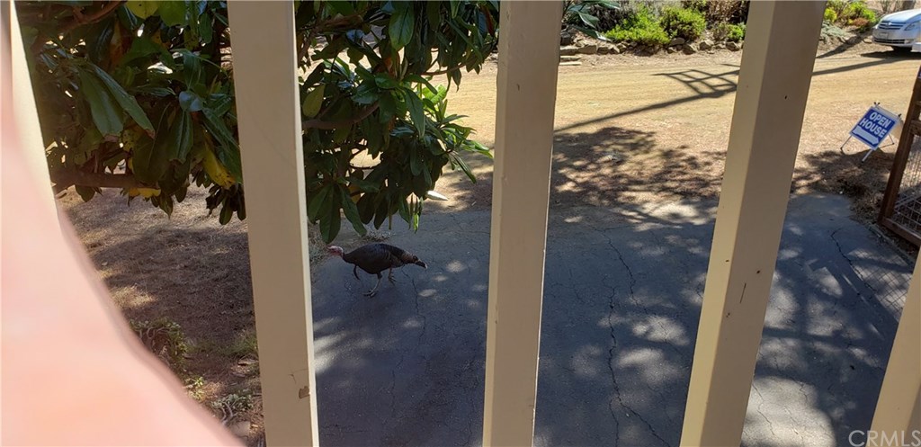 2755 Taft Place Cambria, CA 93428 - Photo 27 of 32