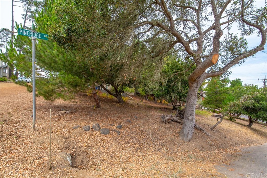 2755 Taft Place Cambria, CA 93428 - Photo 29 of 32