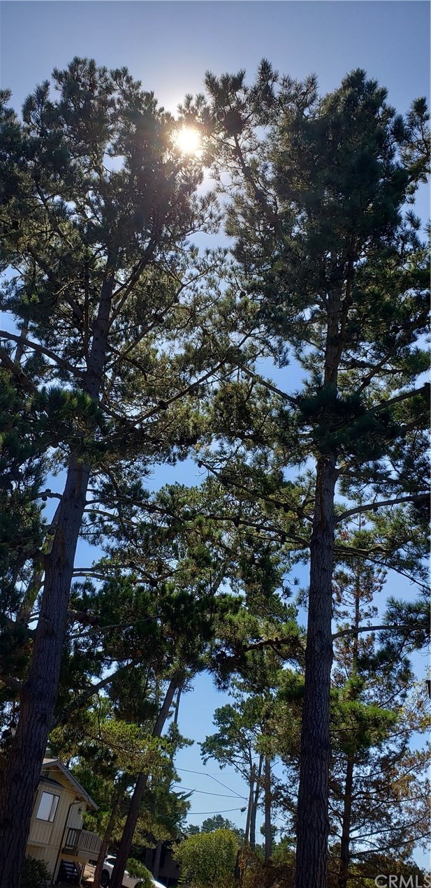 2755 Taft Place Cambria, CA 93428 - Photo 32 of 32