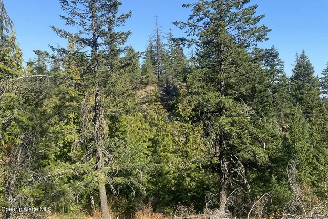 $119,000 | Nna Grizzly Gap Road, Naples, ID 83847