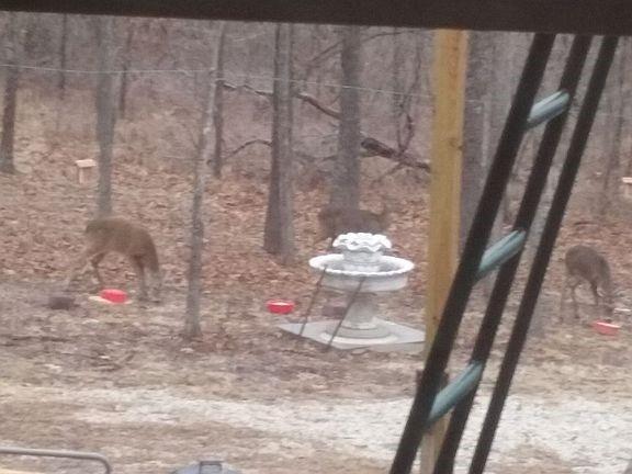 4420 Southeast 1150th Road Collins, MO 64738 - Photo 72 of 92