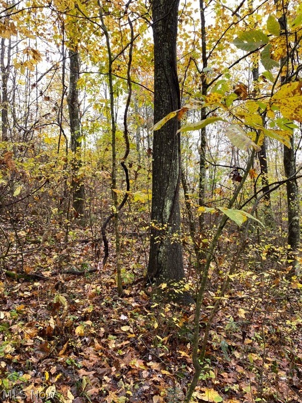 Zion Road Newcomerstown, OH 43832 - Photo 22 of 22 Gallery Image 22