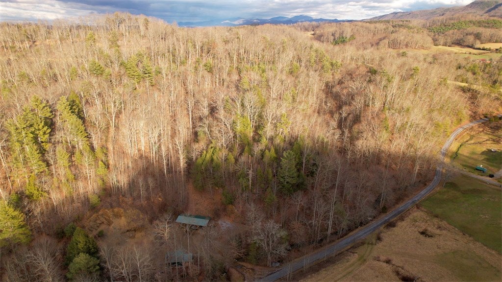 22355 Deep Woods Road Abingdon, VA 24211 - Photo 5 of 17 Gallery Image 5