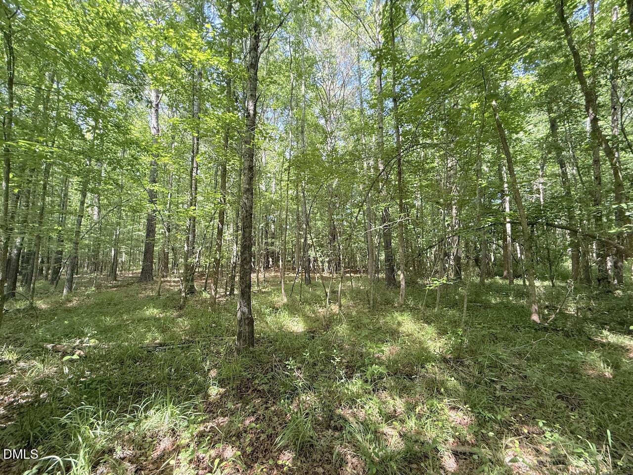0 Tar River Road Oxford, NC 27565 - Photo 24 of 34 24