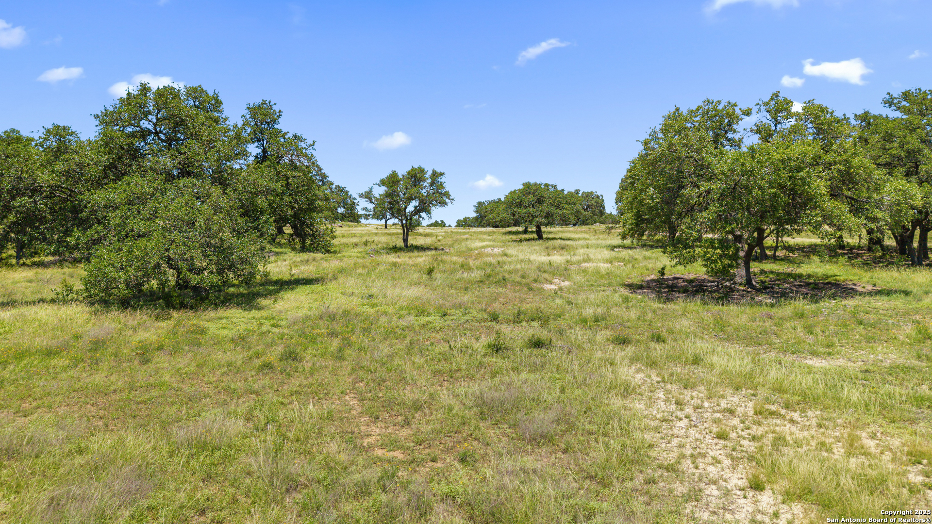 Tbd Lindeman Lane Blanco, TX 78606 - Photo 6 of 15 a backyard of a house with lots of green space and trees