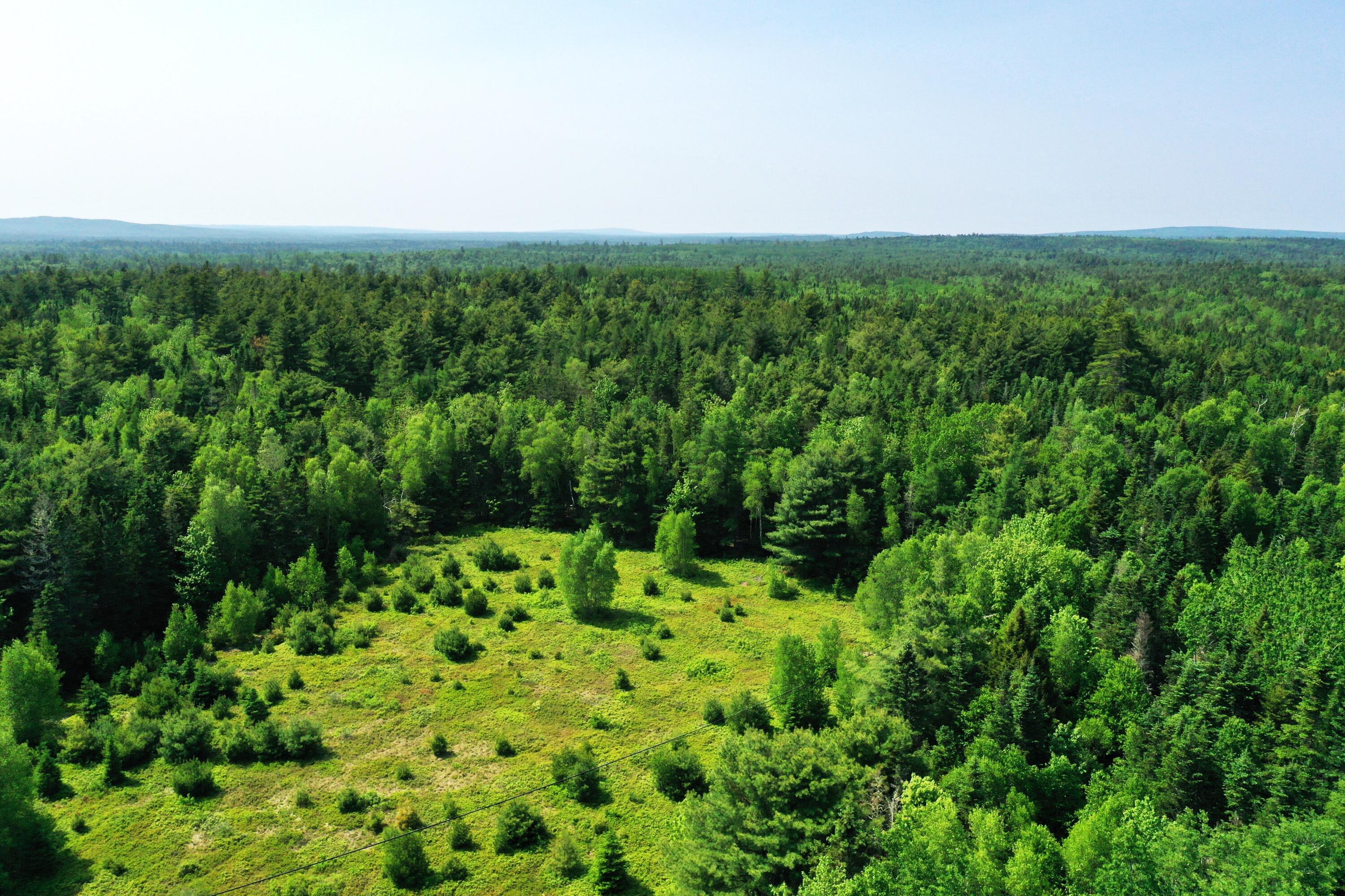 191 Route 191 Route Cathance Township, ME 04657 - Photo 85 of 93 DJI_0466