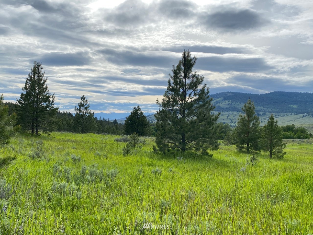 -tbd Highvalley Road East Tonasket, WA 98855 - Photo 3 of 21 Gallery Image 3