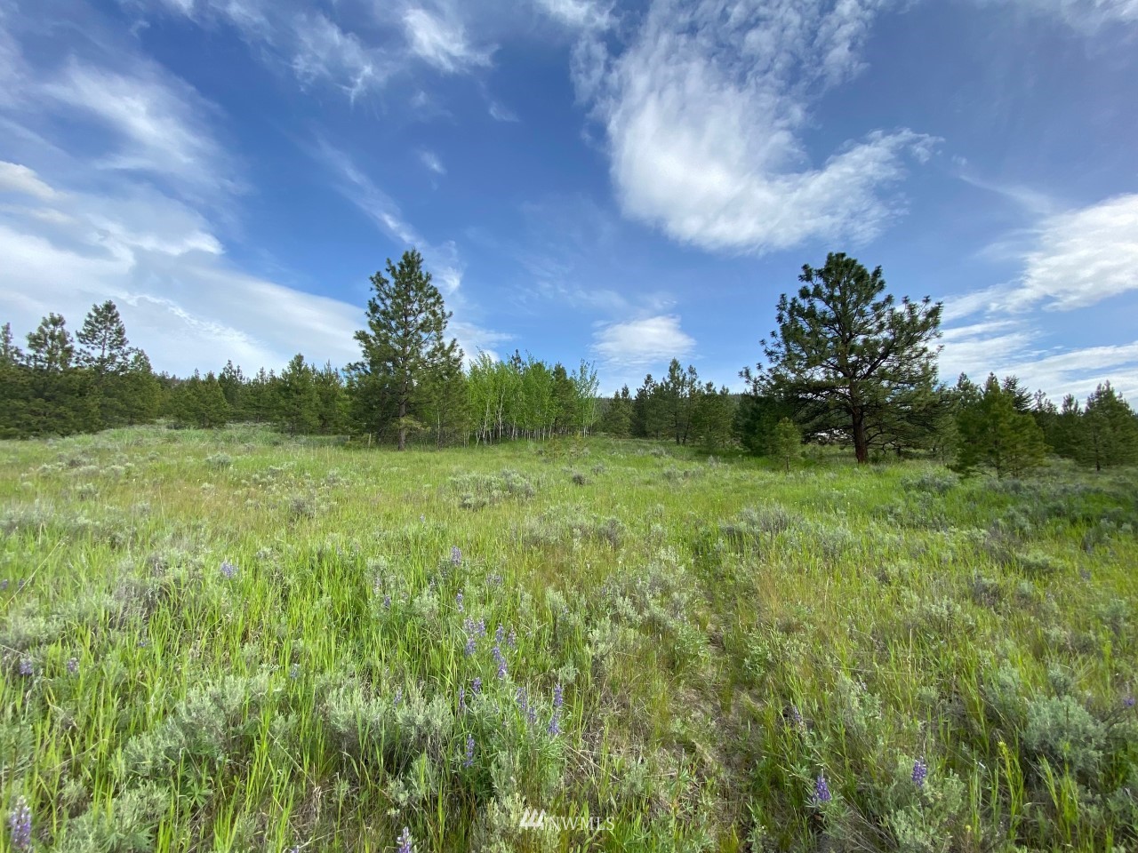 -tbd Highvalley Road East Tonasket, WA 98855 - Photo 6 of 21 Gallery Image 6