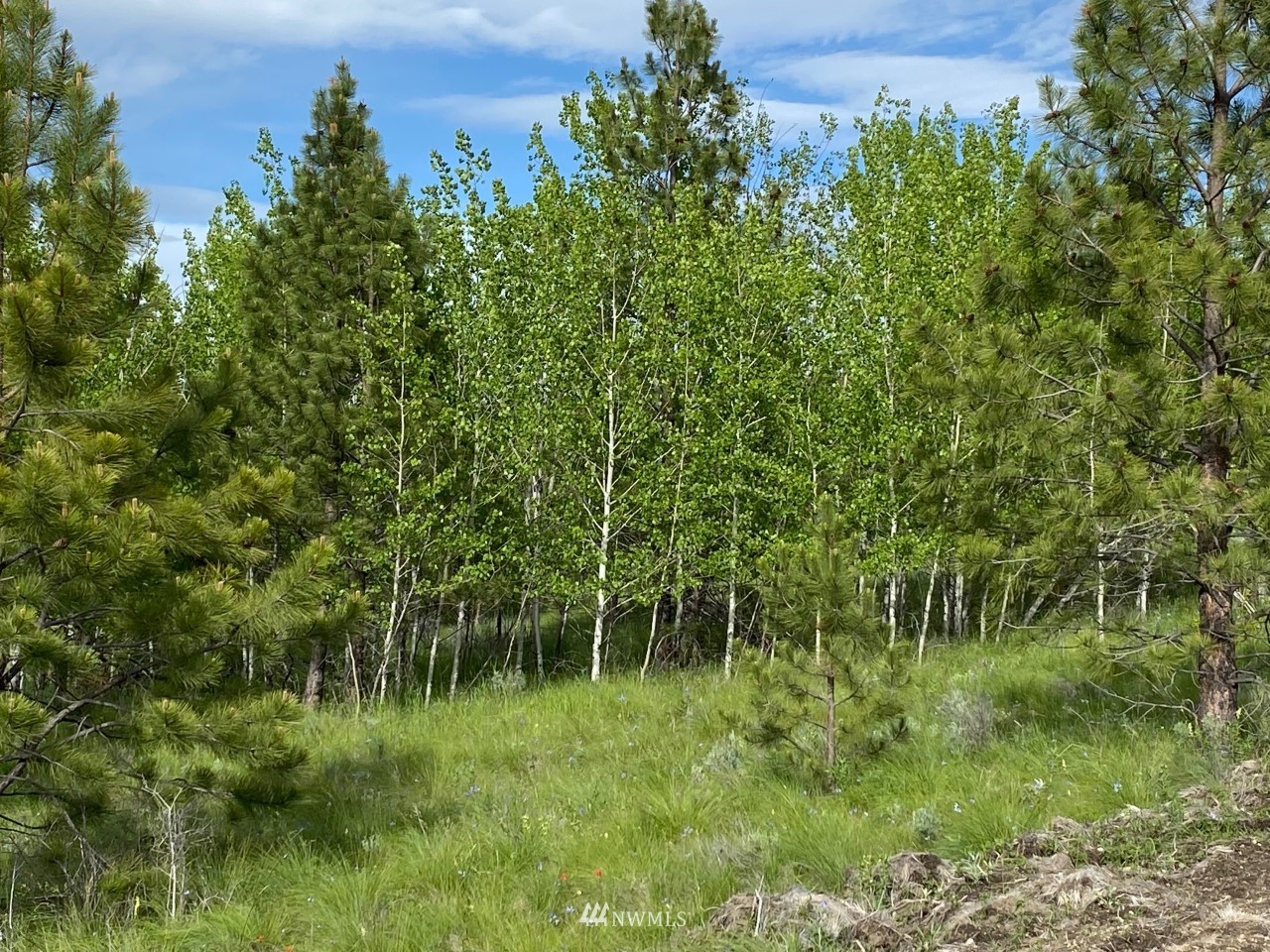 -tbd Highvalley Road East Tonasket, WA 98855 - Photo 7 of 21 Gallery Image 7