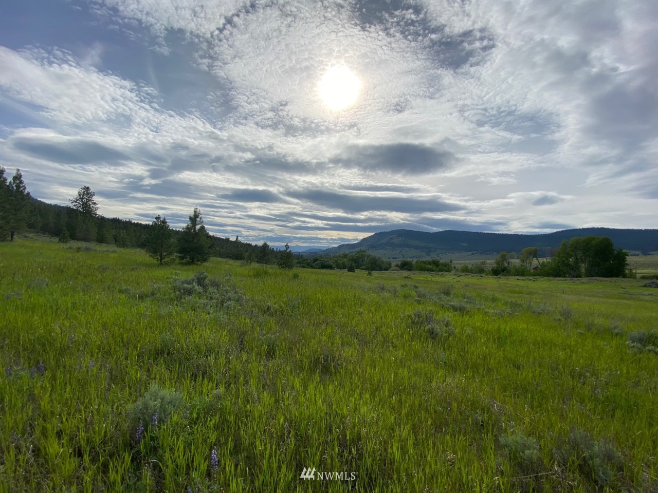 -tbd Highvalley Road East Tonasket, WA 98855 - Photo 8 of 21 Gallery Image 8