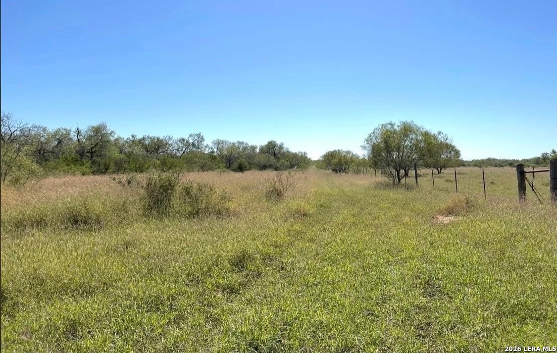 3968 Bluntzer Road Jourdanton, TX 78026 - Photo 27 of 39