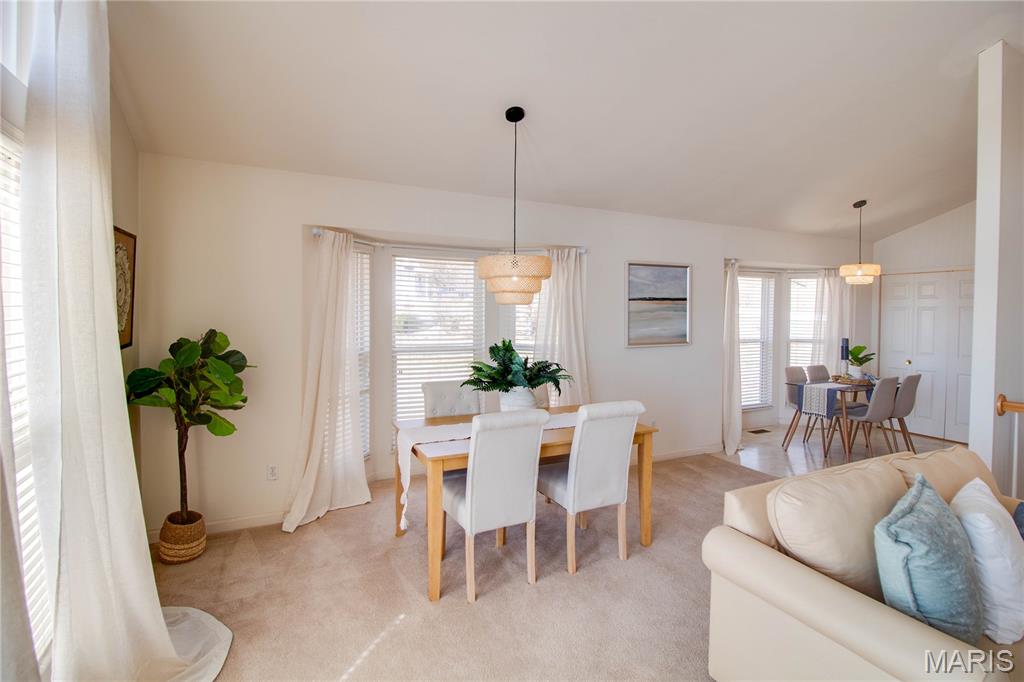 48 Quarry Riverfront Road Golden Eagle, IL 62036 - Photo 14 of 57