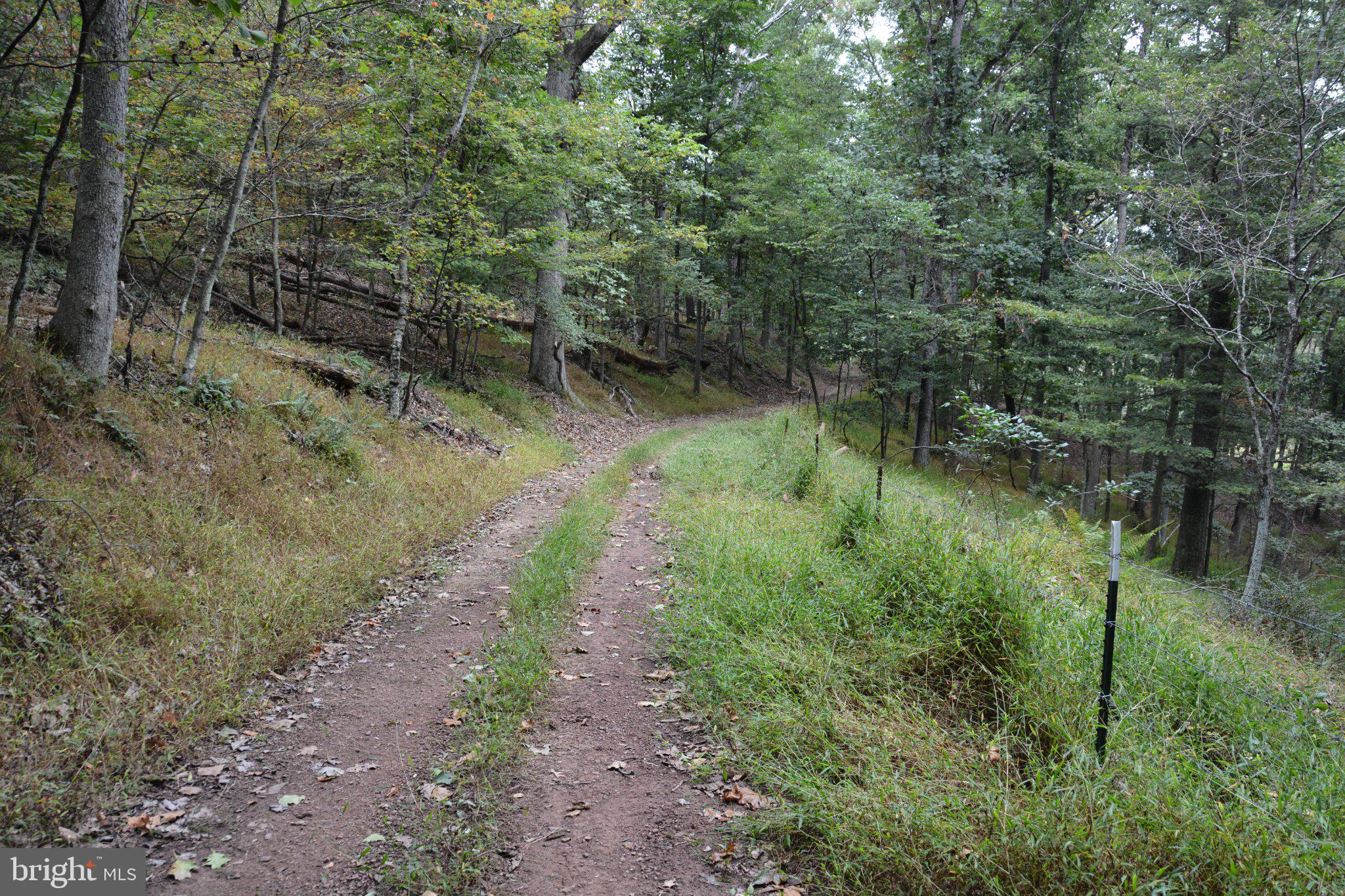 3016 Siler Road Winchester, VA 22603 - Photo 72 of 83 Tuscarora Trail (locals call it the Jeep Rd)