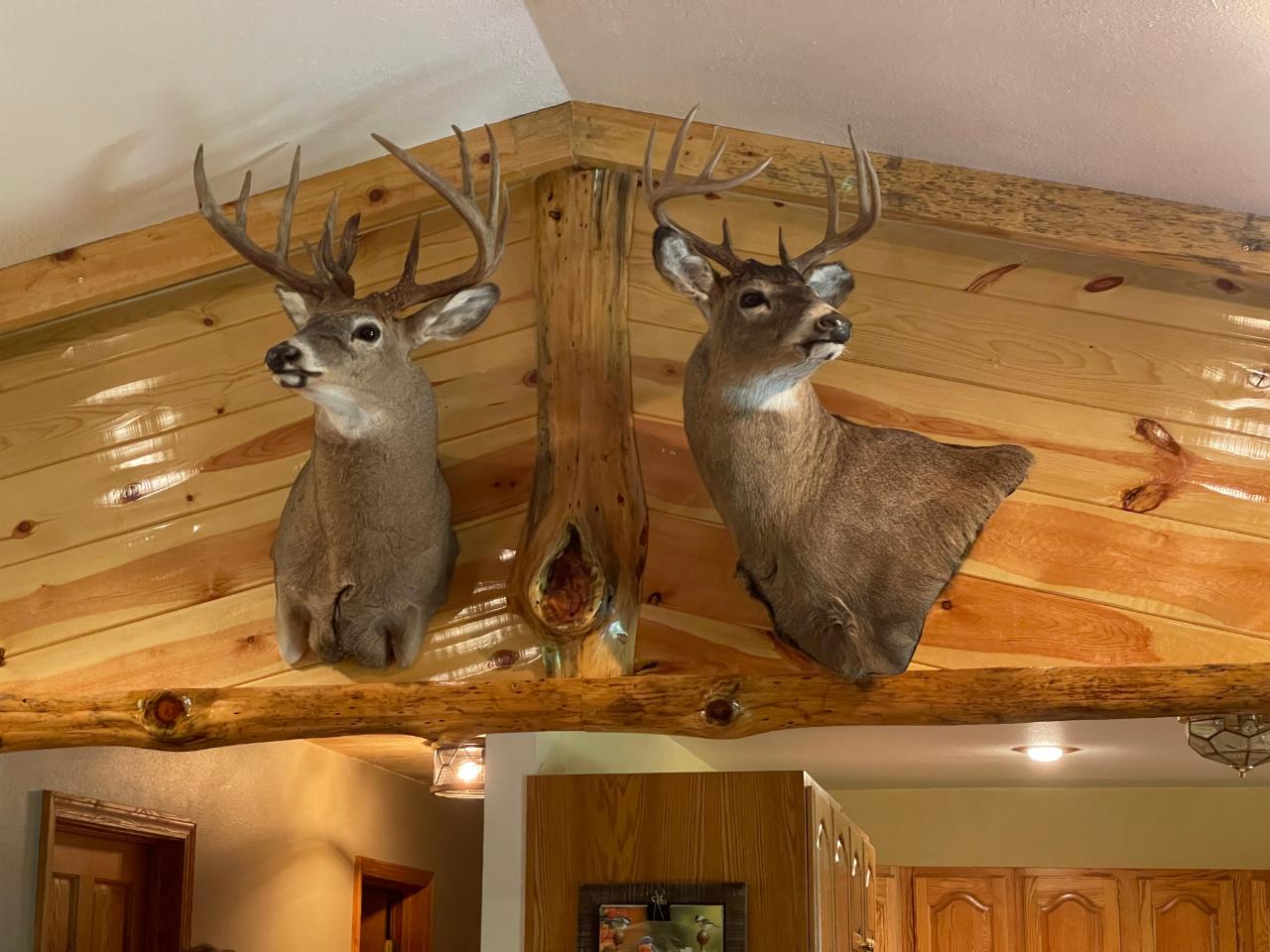 W2388 Axen Road Gleason, WI 54435 - Photo 52 of 52 Gallery Image 52