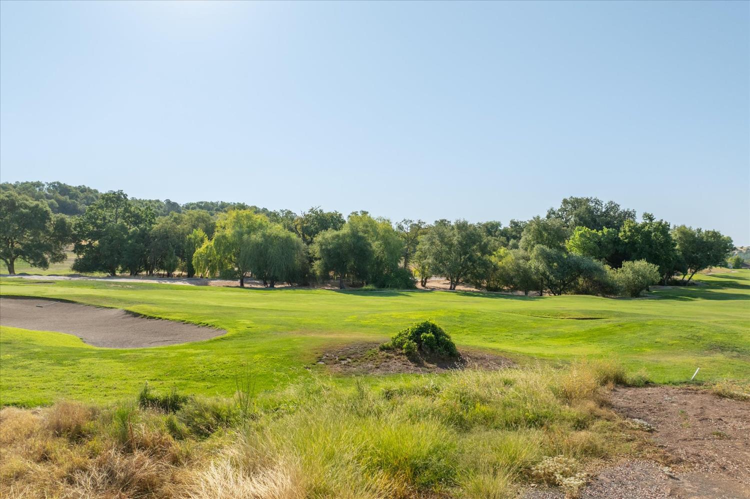 719 Selkirk Ranch Road Angels Camp, CA 95222 - Photo 3 of 12 a view of field with grass and trees