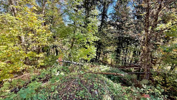 $65,000 | 212 Hillcrest Drive, Johnson, VT 05656