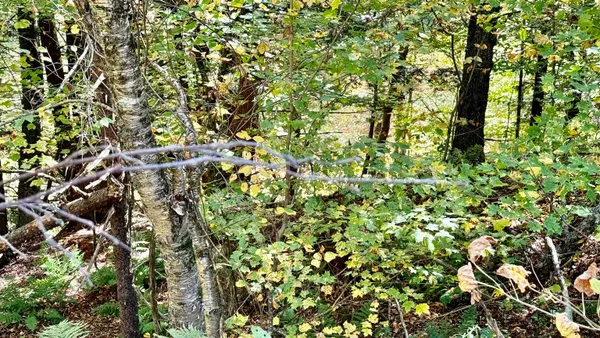 $65,000 | 212 Hillcrest Drive, Johnson, VT 05656